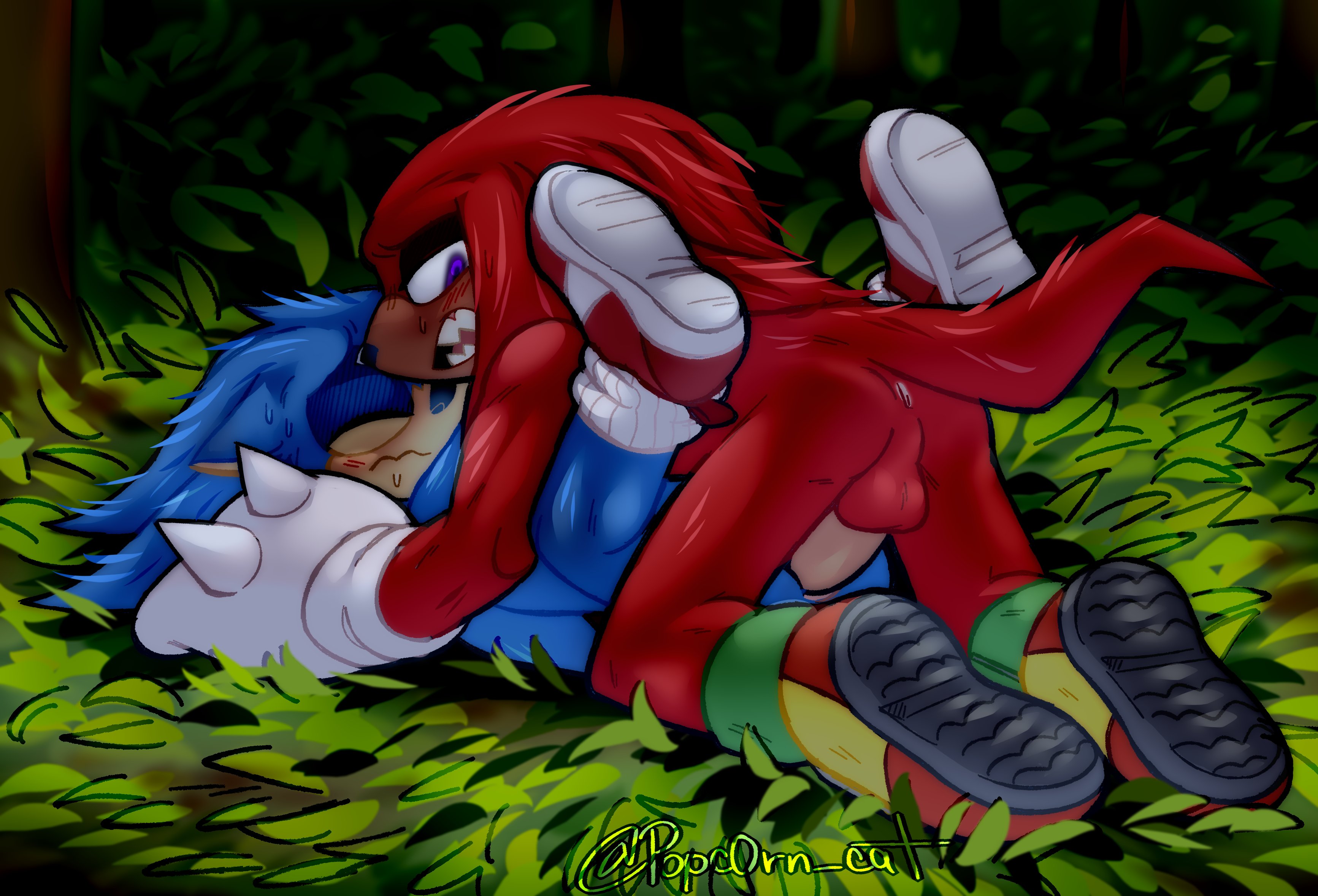anal, anal sex, anthro, anthro only, big penis, exposed torso, footwear, gay, gay sex, handwear, handwear and footwear only, knuckles the echidna, male, male only, meowwabae, movie sonic, muscular, no humans, outdoors, outside, paramount pictures, penis, popc0rn cat, sega, sex, sonic (series), sonic the hedgehog, sonic the hedgehog (film), sonic the hedgehog (series), sonic the hedgehog 2 (film), sonknux, yaoi