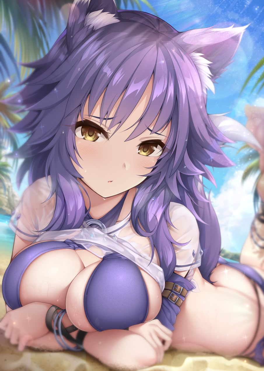 beach, blushing, crossed arms, female, looking at viewer, makoto (princess connect!), princess connect!, purple hair, tagme, tagme (artist), yellow eyes