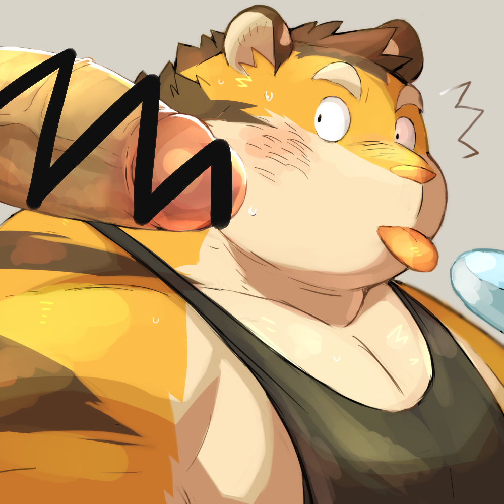 1:1 2022 anthro ayame42612 blush bodily_fluids censored clothing erection felid genitals kemono male male/male mammal musclegut pantherine penis shirt simple_background solo solo_focus surprise sweat tiger tongue tongue_out topwear