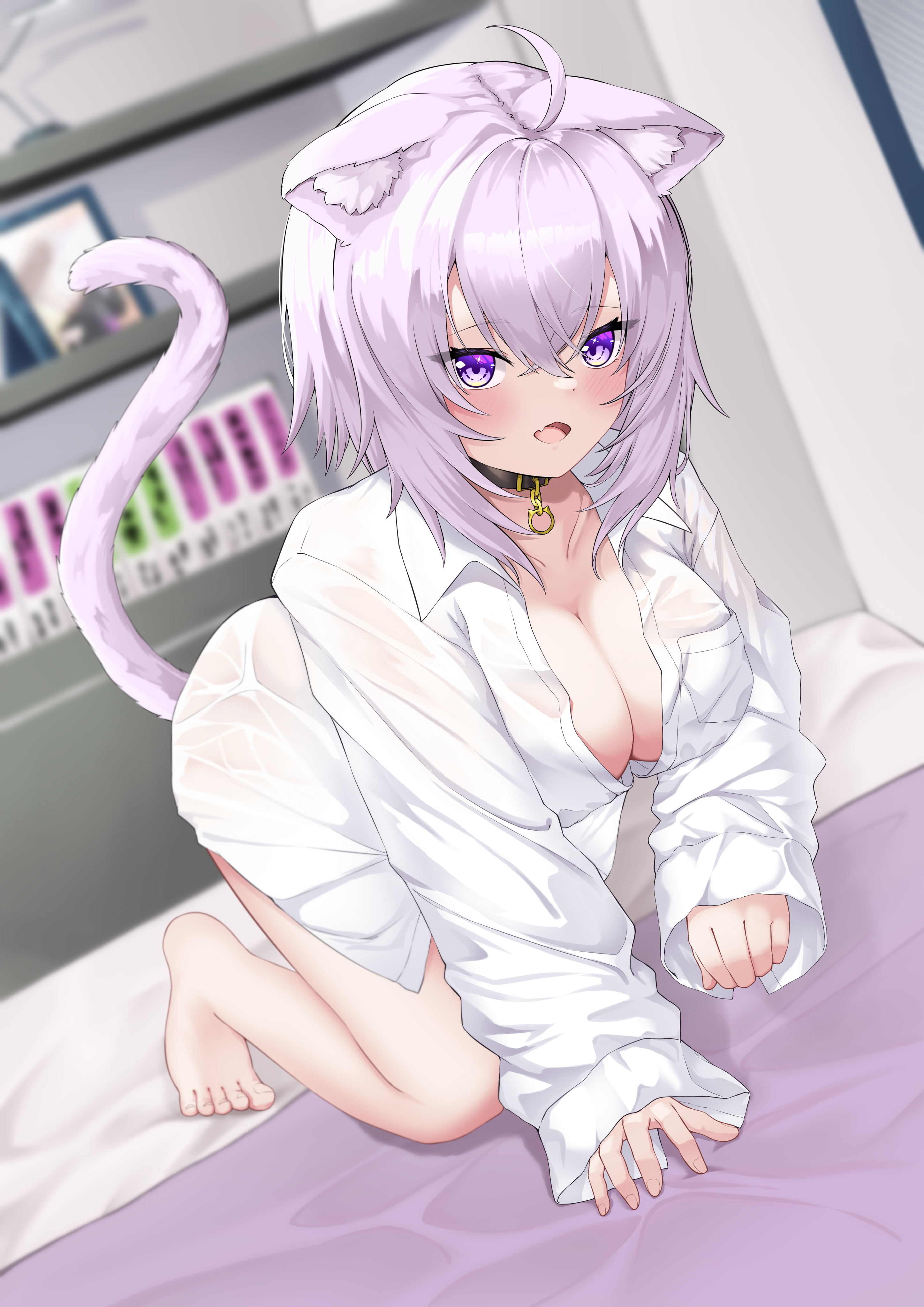 absurdres, ahoge, all fours, animal collar, animal ear fluff, animal ears, bangs, bare legs, bare thighs, barefoot, bent over, black collar, blurry, blurry background, blush, breast pocket, breasts, cat ears, cat girl, cat tail, cleavage, collar, collarbone, collared shirt, crossed bangs, downblouse, dress shirt, dutch angle, female, hair between eyes, hanging breasts, highres, hololive, hololive gamers, hololive japan, indoors, kneeling, large breasts, long sleeves, looking at viewer, medium hair, naked shirt, nekomata okayu, no bra, no pants, oerba yun fang, on bed, open mouth, partially unbuttoned, pocket, purple eyes, purple hair, see-through, shirt, short hair, sidelocks, skin fang, sleeves past wrists, solo, tail, tsurime, virtual youtuber, white shirt