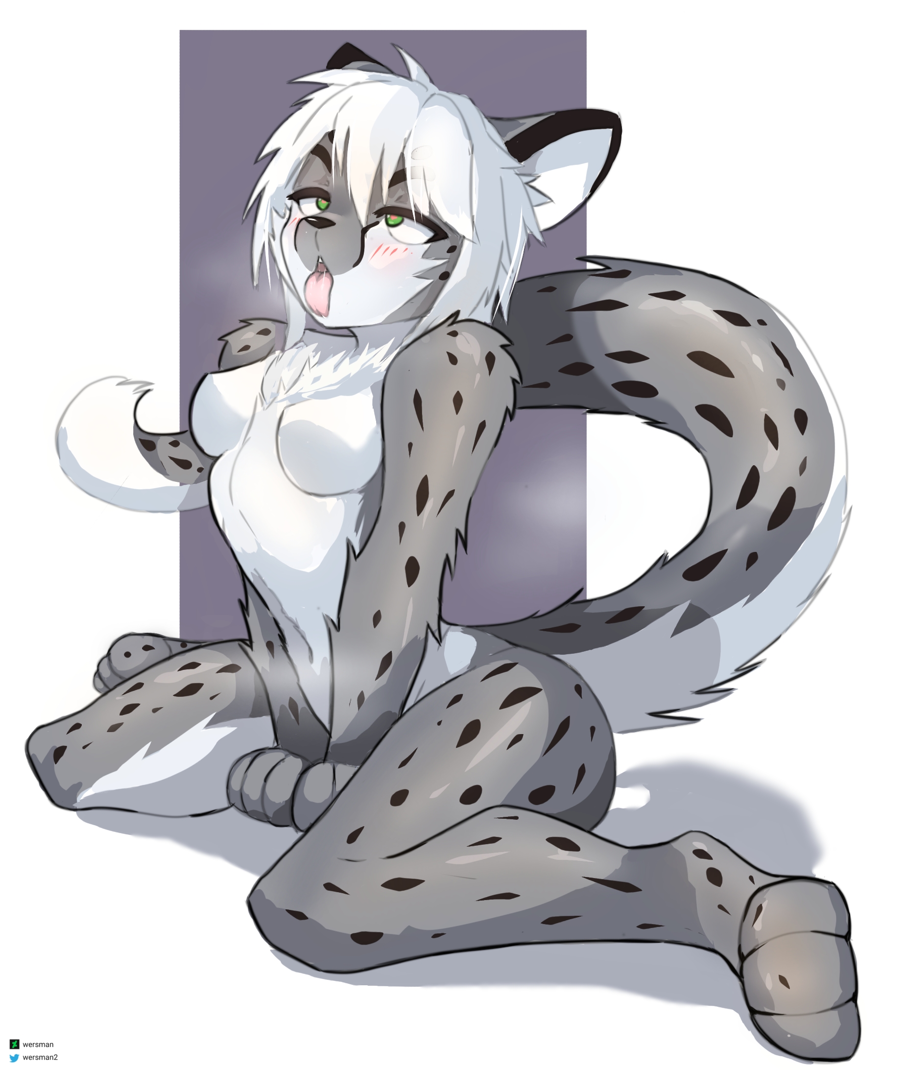 Snow leopard r34