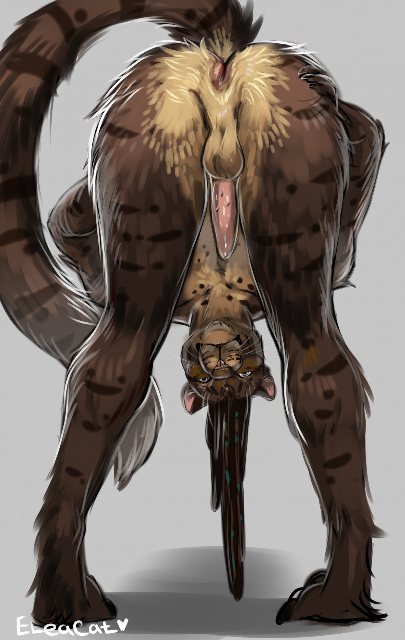 2022 anthro anus balls brown_body brown_fur digital_media_(artwork) eleacat felid feline fur genitals hi_res looking_at_viewer male male_only mammal penis simple_background smile solo standing whiskers