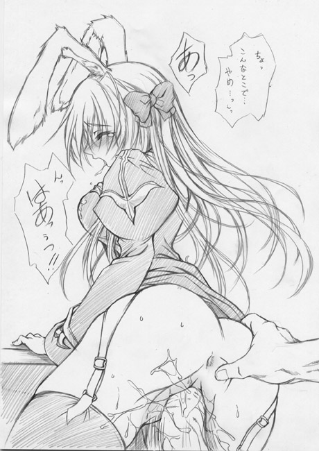 animal_ear bunny_ear cum duo faceless_male female garter_straps japanese_text male monochrome priest priest_(ragnarok_online) priestess ragnarok_online ribbon sex solo_focus straight thighhighs uncensored