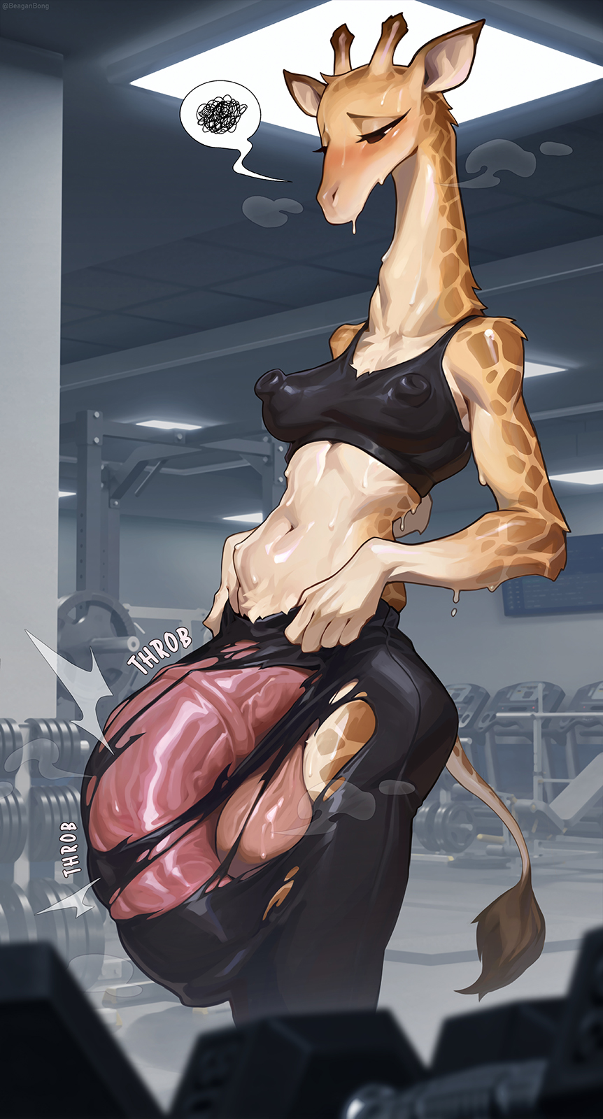 1futa, 1girls, 2025, anthro, background, balls, big balls, big penis, blush, blushing, boobs, bottomwear, breasts, clothed, clothed anthro, clothed gynomorph, clothed intersex, clothing, cock, digital media (artwork), ears, female, fingers, furry, futanari, genitals, giraffe, giraffe ears, giraffe girl, giraffe horns, giraffe tail, giraffid, gym, gym clothes, gynomorph, gynomorph anthro, hi res, horn, horsecock, huge cock, huge penis, intersex, intersex anthro, mammal, navel, nipple bulge, nipple outline, onomatopoeia, ossicone, penis, reagan long, snout, solo, sweat, sweatdrop, sweating, tail, tail tuft, testicles, throbbing, throbbing penis, torn bottomwear, torn clothes, torn clothing, torn pants, tuft