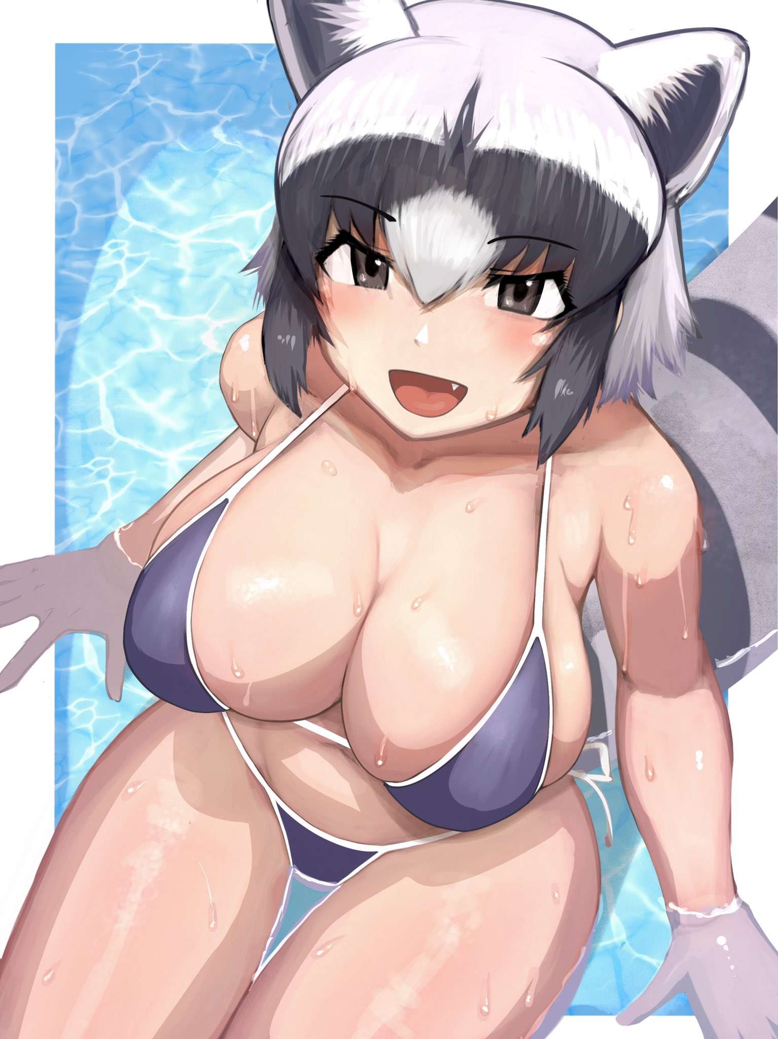 1girls, alternate breast size, animal ears, arms at sides, bangs, bikini, black eyes, black hair, blush, breasts, collarbone, common raccoon (kemono friends), female, from above, grey hair, hair between eyes, hand rest, highres, kemono friends, large breasts, looking at viewer, medium hair, multi ear, multicolored hair, oerba yun fang, open mouth, raccoon ears, raccoon girl, raccoon tail, shibori kasu, shiny, shiny skin, sidelocks, sitting, skindentation, smile, solo, solo female, stomach, swimsuit, tail, thigh gap, water, wet, white hair