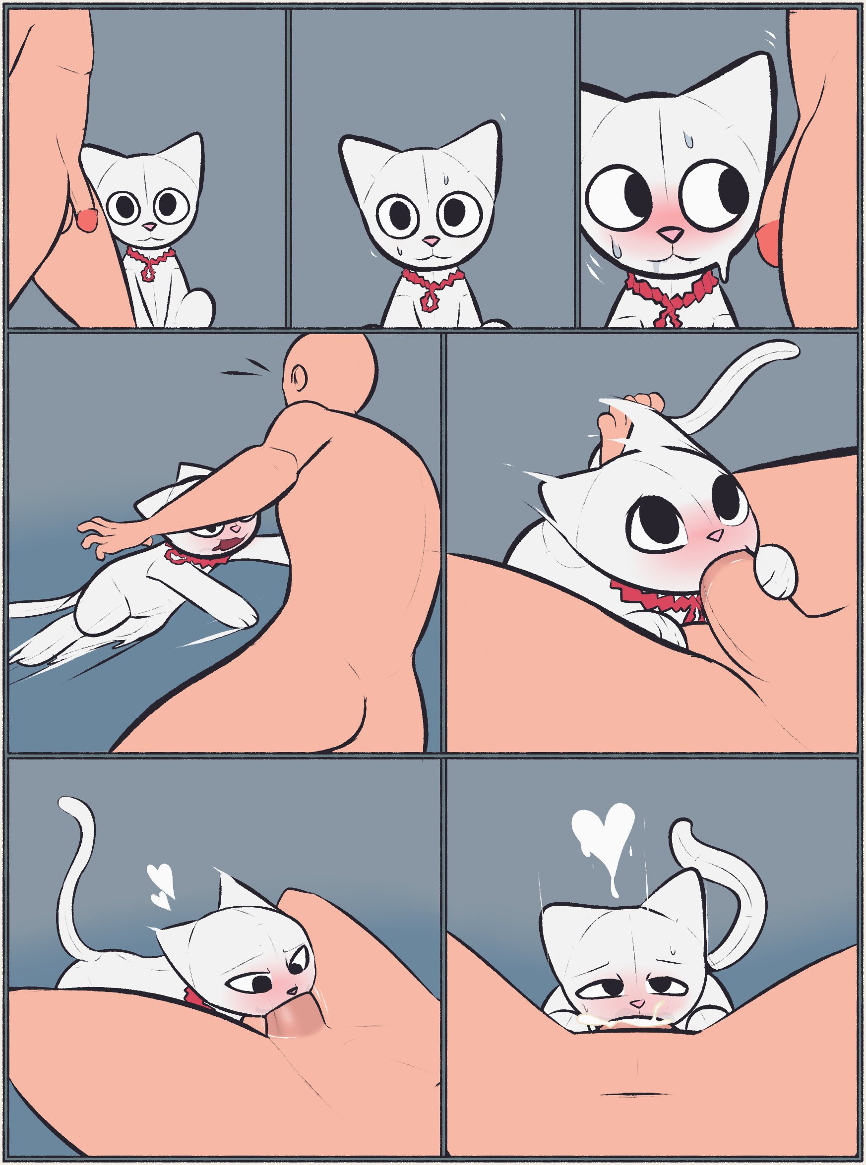 a cat is fine too, animate inanimate, bestiality, blowjob, cum, cum in mouth, cum inside, domestic cat, dominant feral, feline, fellatio, fellatio from feral, feral, male, male on feral, malesub, mrdegradation, plushie, plushophilia, straight hair, white fur, zoophilia