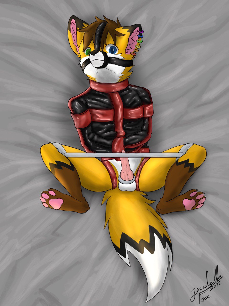 3:4 anthro bondage bound canid canine clothing drake_(drakethefox) drakethefox fox hi_res male male_focus male_only male_solo mammal muzzle_(object) restraints rubber rubber_clothing rubber_suit solo solo_male spreader_bar straitjacket