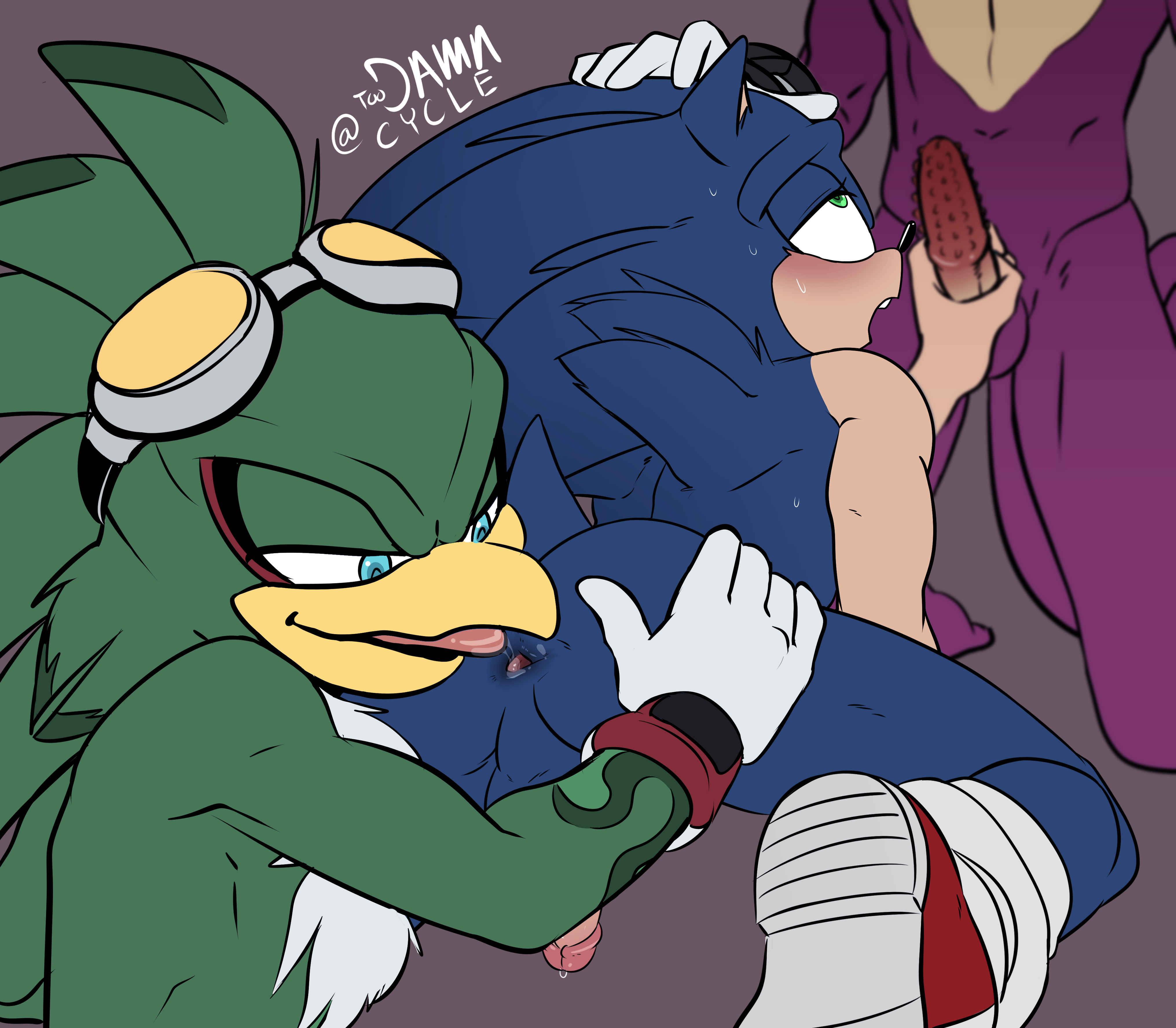 anthro, anus, balls, espio the chameleon, exposed torso, footwear, furry, gay, gay sex, handwear, humanoid, jet the hawk, licking ass, male, masturbation, penis, sonic (series), sonic the hedgehog, sonic the hedgehog (series), threesome, toodamncycle, yaoi