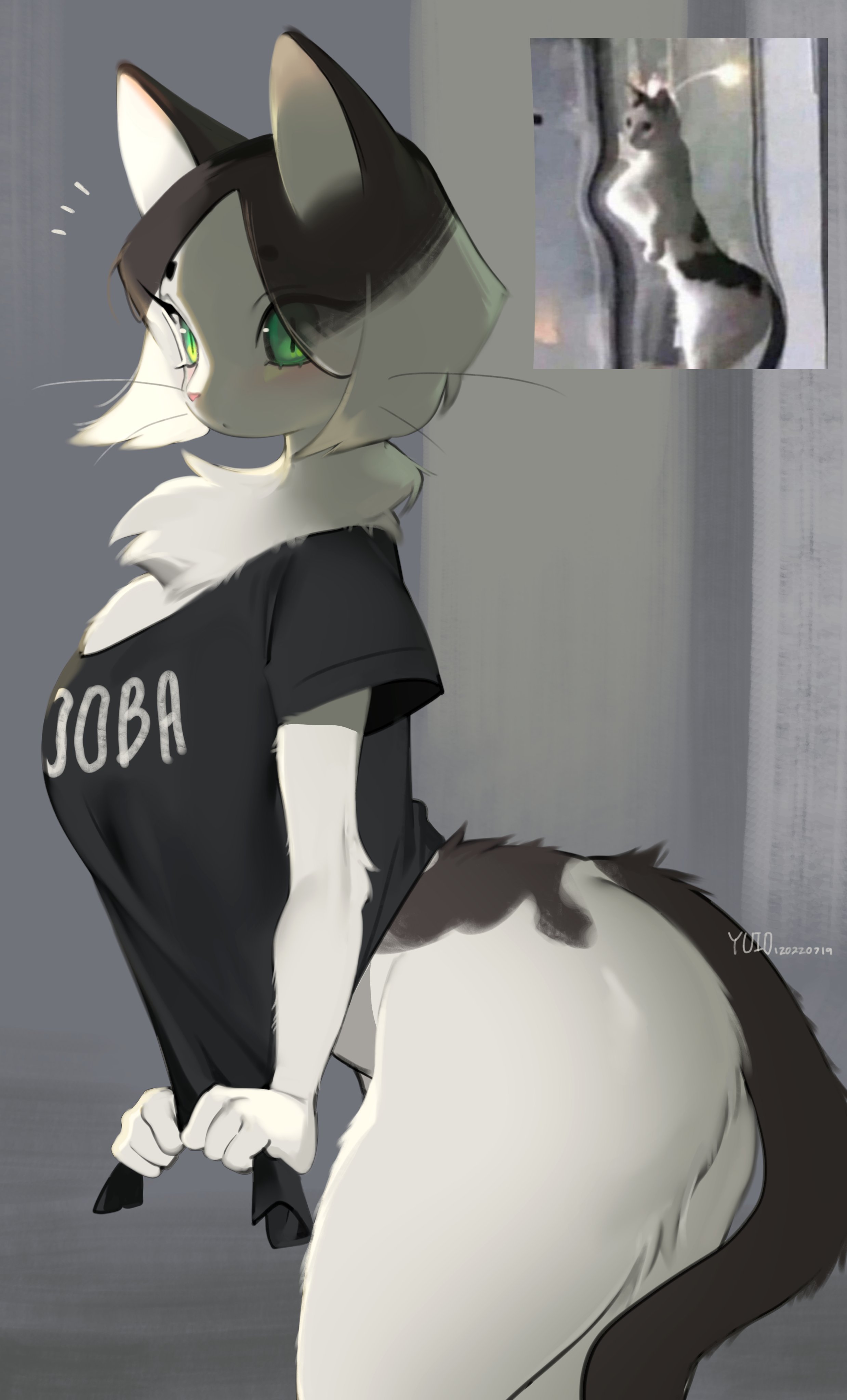 ass, big ass, big breasts, breasts, cat, domestic cat, feline, female, furry, meme, tagme, yuio