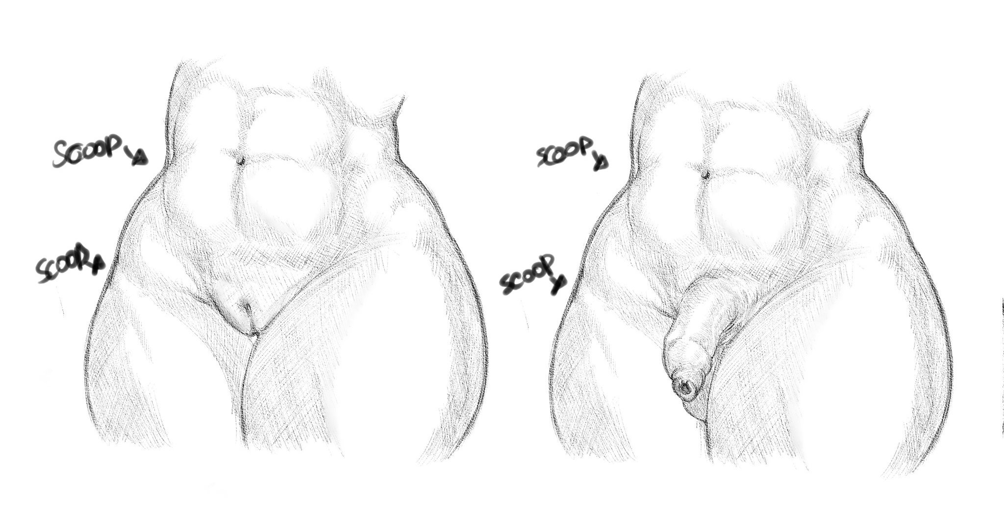 abs, both sexes in same situation, female, foreskin, male, obleacream, penis, pussy, sketch, thick thighs, wide hips