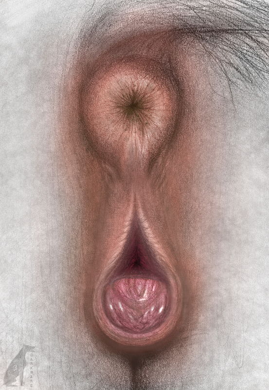 1girls animal_genitalia animal_pussy anus artist_name ass clitoral_winking clitoris close-up darkmare dirty_anus equid equine equine_anus equine_genitalia equine_pussy feces female female_only feral fur genitals horse mammal puffy_anus pussy pussy_close-up solo vagina white_body white_fur