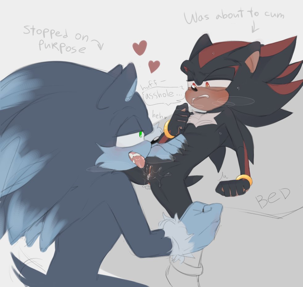 2boys, anthro, cuntboy, femboy, furry, gay, intersex, licking pussy, male, male only, pussy, shadow the hedgehog, size difference, sonadow, sonic (series), sonic the hedgehog, sonic the werehog, vagina, werehog, werewolf, yaoi