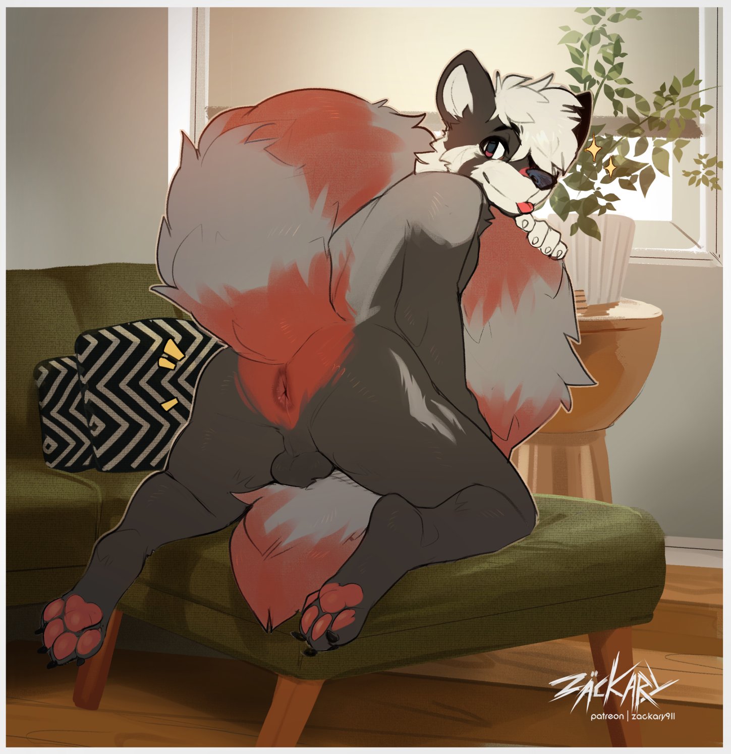 anus, backsack, balls, ballsack, femboy, fluffy tail, furniture, looking at viewer, looking back, male, presenting, red panda, tongue, tongue out, zackary911