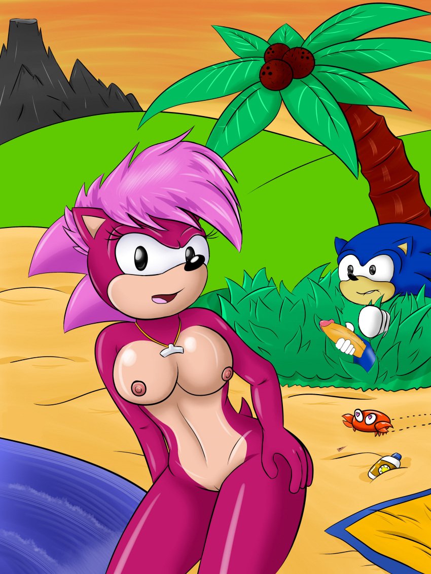 beach breasts brother_and_sister brother_spying_on_sister erection masturbation mobian_(species) naked nipples nude open_mouth penis pervert_brother sonia_the_hedgehog sonic_(series) sonic_the_hedgehog sonic_the_hedgehog_(series) sonic_underground