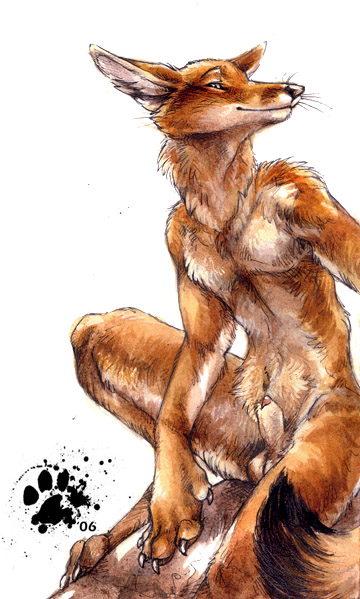 2006 animal_genitalia anthro balls blotch canid canine claws countershade_face countershade_fur countershade_torso countershading fur genitals inner_ear_fluff male male_focus male_only mammal orange_body orange_fur paws penis poking_out sheath simple_background smile solo tuft white_background