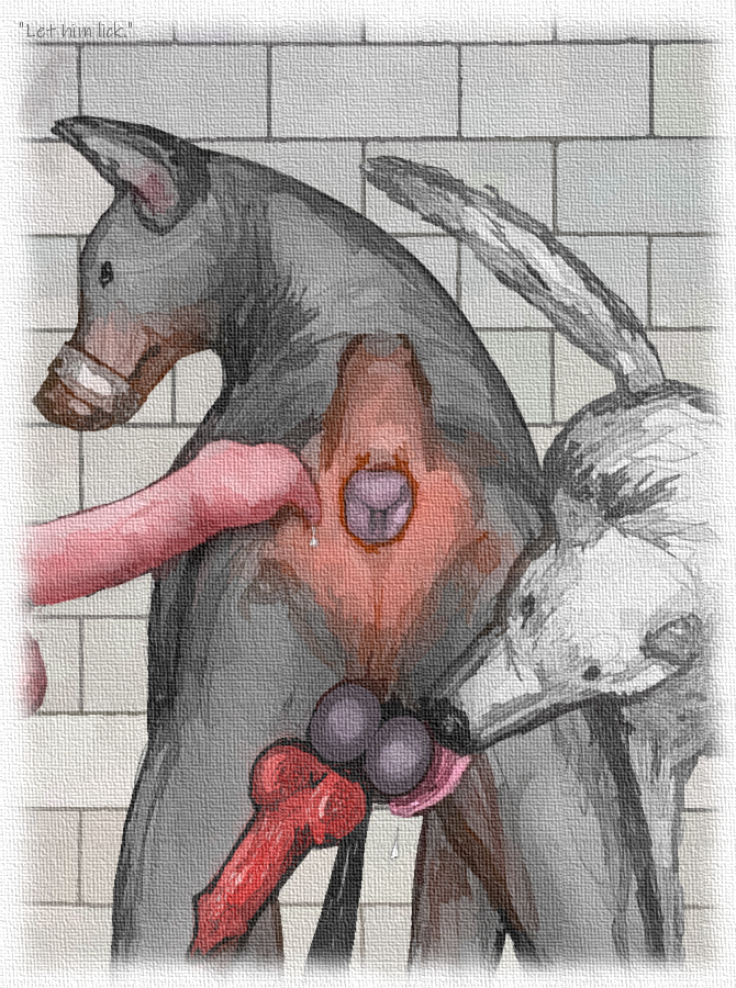 2022 anatomically_correct anatomically_correct_anus anatomically_correct_genitalia anatomically_correct_penis animal_genitalia animal_penis anthro anthro_on_feral anus ass ball_lick balls bodily_fluids brown_body brown_fur canid canine canine_penis canis darkmare digital_media_(artwork) dobermann domestic_dog erection faceless_anthro faceless_character faceless_male feral feral_on_feral fur genitals group knot licking male male/male mammal muzzle_(object) muzzled oral penis perineum pinscher rear_view saliva sex tongue tongue_out trio white_body white_fur zoophilia