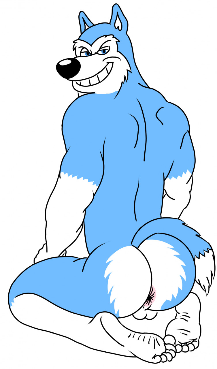 anthro anus ass balls barefoot blue_body blue_fur canid canine canis domestic_dog exile_(road_rovers) feet fur genitals hi_res husky looking_at_viewer looking_back male male_focus male_only mammal multicolored_body multicolored_fur muscular muscular_anthro muscular_male nightfox90 nordic_sled_dog nude road_rovers siberian_husky smile smirk solo spitz teeth toes two_tone_body two_tone_fur white_body white_fur wrinkled_feet