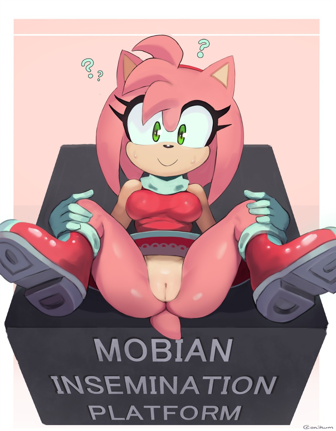amy rose, confused look, cranihum, green eyes, hedgehog girl, imminent rape, imminent sex, mobian, mobian (species), mobian hedgehog, shoes, sonic (series), sonic the hedgehog (series), spread legs, tagme, visible pussy