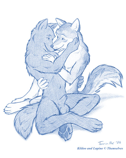 2006 anthro balls blank_background blue_and_white canine couple eye_contact fur furry furry_only gay holding kildoo looking_at_another male monochrome no_humans nude paws shaded sheath taurin_fox whiskers wolf