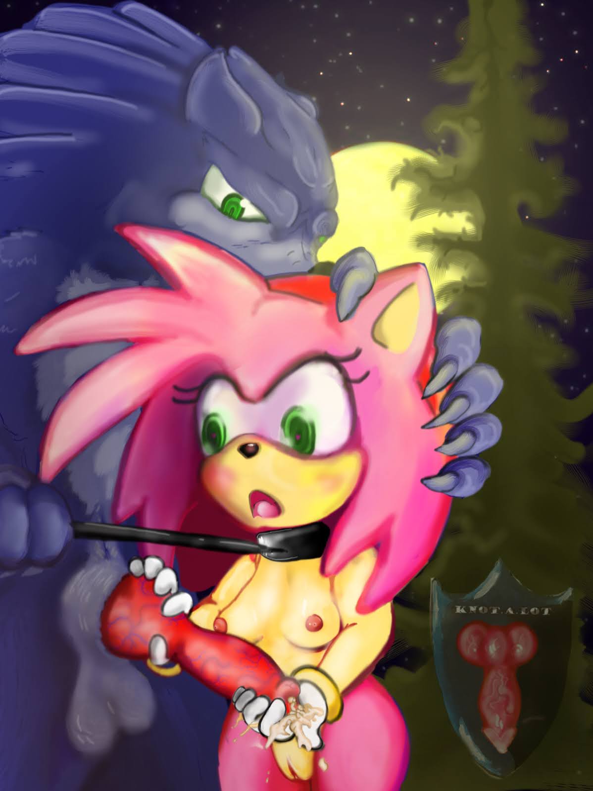 amy_rose canine_penis female interspecies knot knotalot leash_and_collar leash_pull male penis sonic_(series) sonic_the_hedgehog_(archie) sonic_the_hedgehog_(series) sonic_the_werehog