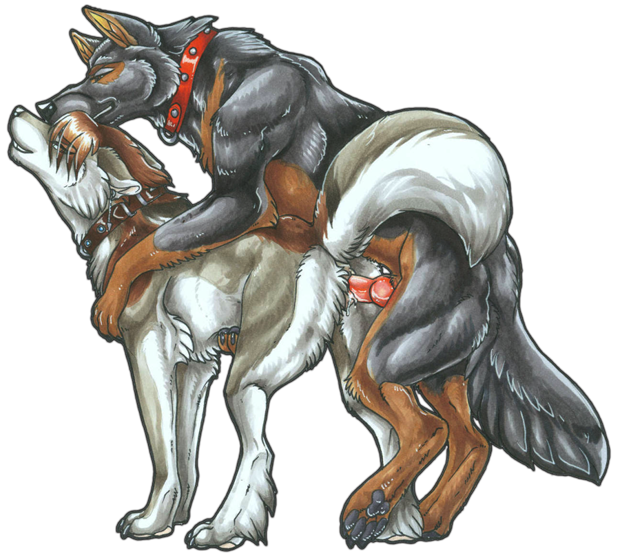 alpha_channel anatomically_correct canine canine_penis canine_pussy collar canine female feral german_shepherd knot male penis sex wielder wolf