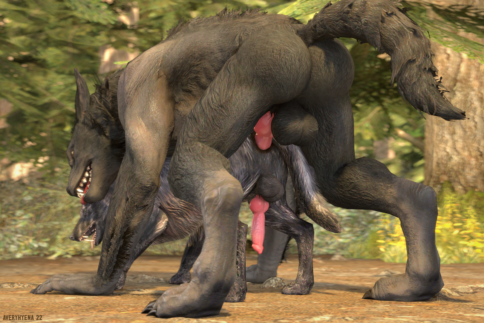 2022, 2boys, 3:2, 3d, all fours, anal, anal sex, animal genitalia, animal penis, anthro, anthro on feral, anthro penetrating, anus, ass, averyhyena, balls, bethesda softworks, big balls, big penis, canid, canine, canine penis, canis, digital media (artwork), doggy style, duo, erection, feral, from behind position, fur, gay, gay sex, genitals, hi res, interspecies, knot, larger male, male, male on feral, male only, male penetrated, male penetrating, male penetrating male, male/male, mammal, nude, outdoor sex, outside, paws, penetration, penis, sex, size difference, skyrim, skyrim werewolf, smaller male, source filmmaker, the elder scrolls, video games, were, werecanid, werecanine, werewolf, wolf, zoophilia