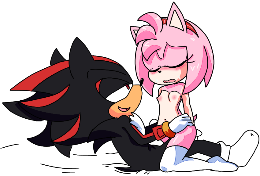 amy_rose cowgirl_position exposed_torso footwear handwear hearlesssoul humanoid pink_fur pink_hair shadow_the_hedgehog sonic_(series) stockings