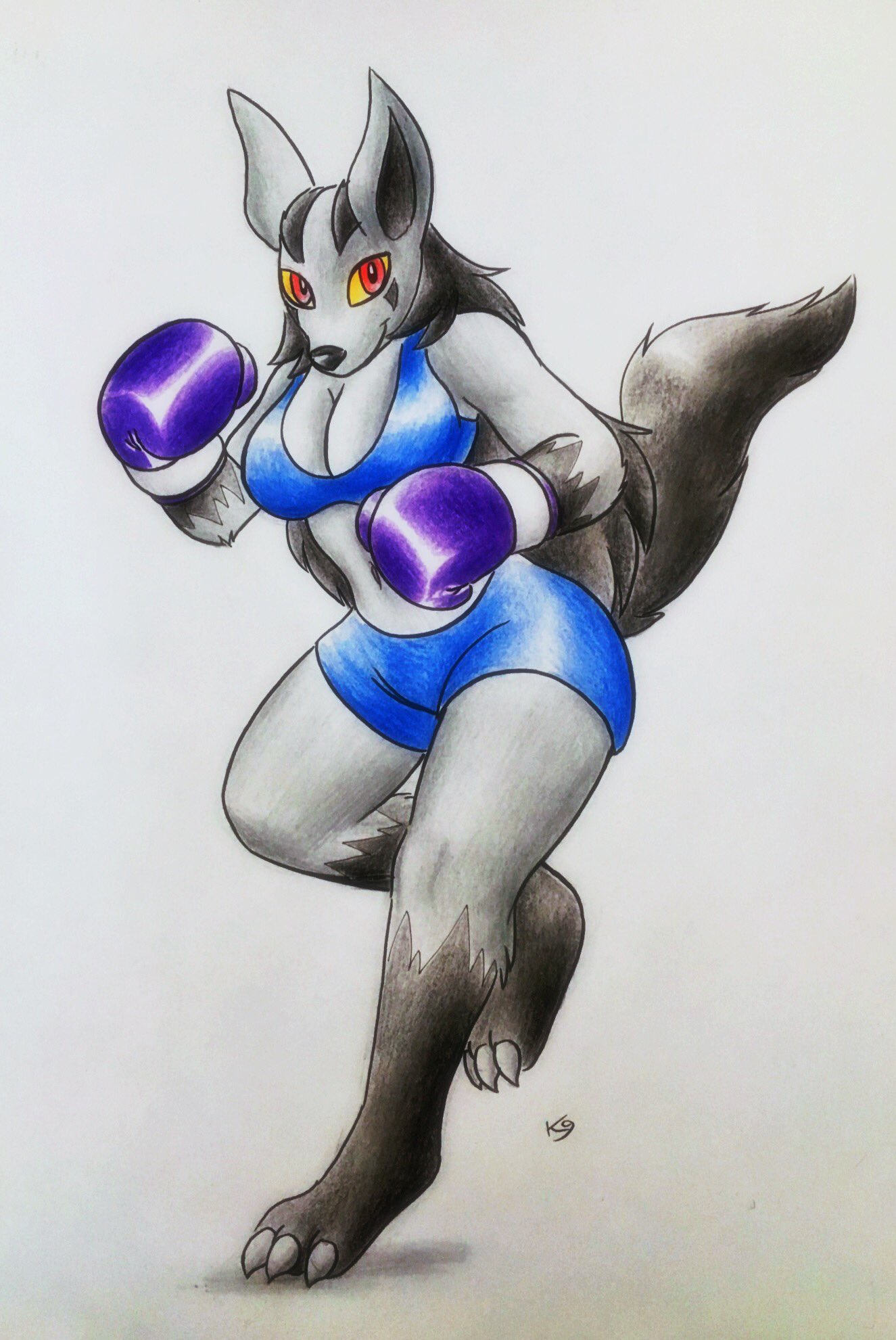 1girls barefoot big_breasts big_ears black_fur black_hair blue_bra blue_shorts blue_sports_bra boxing boxing_gloves bra breasts clawed_toes cleavage clothing female female_only furry gloves grey_fur long_hair looking_at_viewer mightyena nintendo pokemon red_eyes shorts solo sports_bra sportswear tail the_k9_team thick thick_hips thick_thighs traditional_media_(artwork) violet_boxing_gloves violet_gloves white_background wide_hips