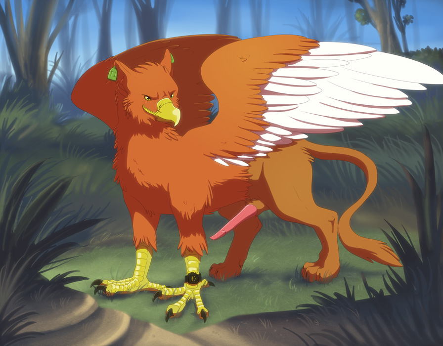 1boy avian feral gryphon irene male male_only penis solo tail wings