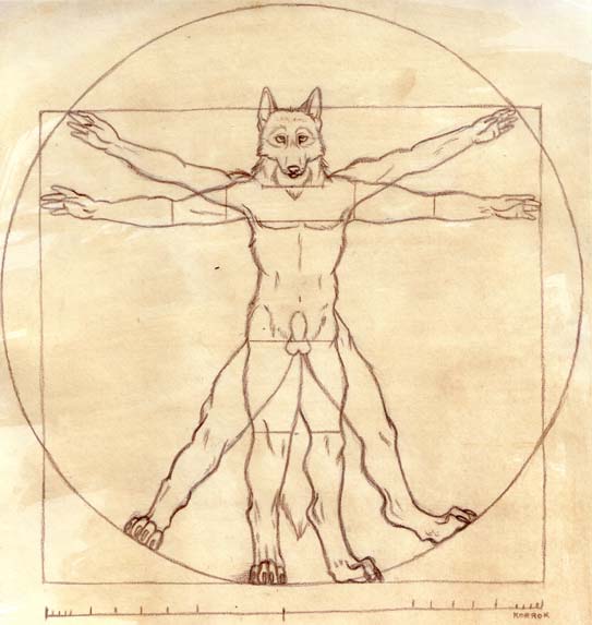 1boy 2005 anthro canine fine_art_parody fur furry korrok male male_only monochrome penis public_domain solo vitruvian_man wolf