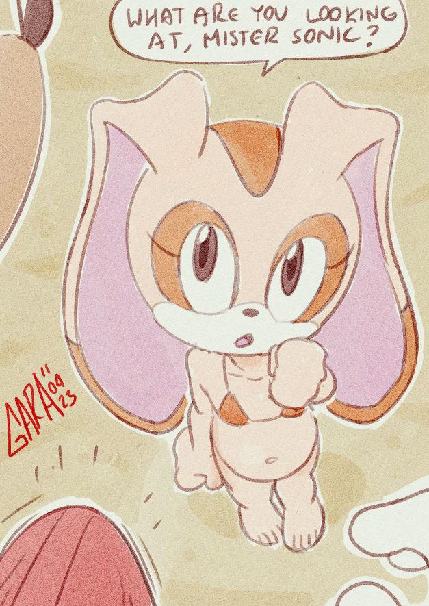 age difference, anthro, beach, beachwear, bikini, cream the rabbit, cub, erection, garabatoz, hedgehog girl, lagomorph, mammal, mobian (species), penis, rabbit, sega, sonic (series), sonic the hedgehog, sonic the hedgehog (series), tagme, young, young female, younger female