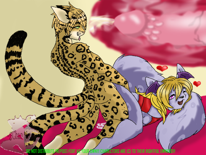 alyssasuccubus barbs bondage bow color cum cum_inside cum_pool demfox19240 feline female furry internal kita kojiro male ocelot snow_leopard spots succubus wings