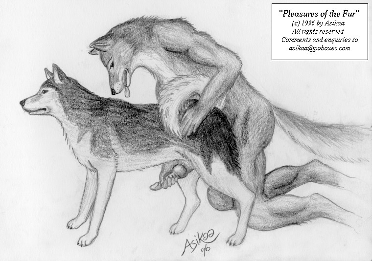 1990s 1996 20th_century 2boys 90s all_fours anal anal_sex ancient_furry_art animal animal_genitalia animal_penis anthro anthro_bestiality anthro_on_feral anthro_penetrating asikaa canine canine_penis copyright_symbol english_text erect_penis erection expressionless feral feral_on_anthro feral_penetrated fur furry furry_only gay handjob handjob_while_penetrated handpaw husky interspecies looking_at_partner looking_away male male_only masturbation monochrome muscular muscular_male neutral_expression panting penis realistic signature signed source_request tail tail_up text tongue tongue_out vintage wolf yaoi zoophilia