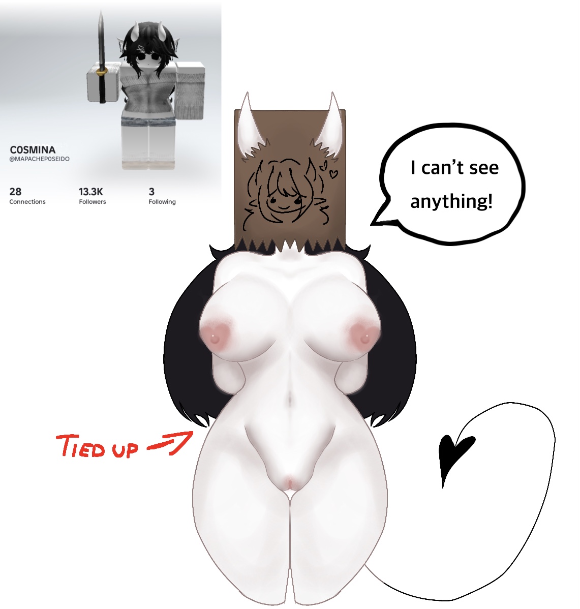 anus, bag, bag over head, beautiful, big breasts, box, breasts, cosmina the succubus, covered eyes, cute, cute face, cutie, demon, demon girl, demon horns, demon tail, feet, female, free use, heart-shaped areola, hourglass figure, hourglass figured female, kidnapped, legs spread, looking at viewer, naked, naked female, pink pussy, pretty face, pretty girl, pussy, roblox, sexy, sexy body, sexy pose, socks, socks only, solo, standing, succubus, tied, tied up, tits out, uncensored, white skin