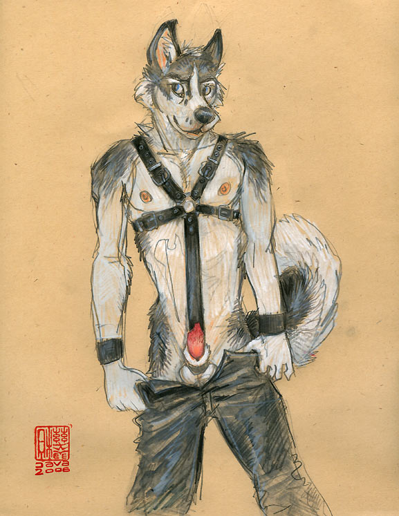 1boy 2006 bondage canine canine_penis harness husky java leather male male_only mudshark penis sheath solo