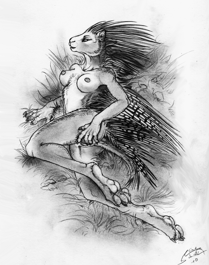 2010 alectorfencer anthro barbed_girls barbed_studios breasts female hindpaw pads paws porcupine pussy quills rodent soles solo suami