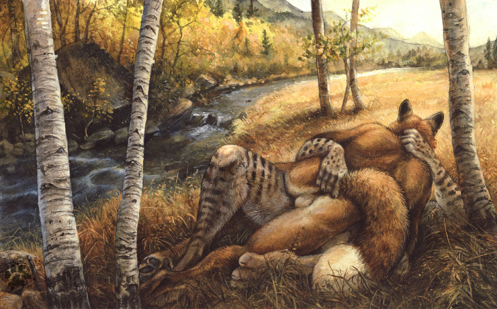 16:10 2010 anal anal_fingering anal_sex anthro balls blotch bobcat canine couple embrace feline fingering forest fox fur furry gay hindpaw love male masturbation on_back penetration raised_tail stream tail tail_grab tree wallpaper widescreen wilderness