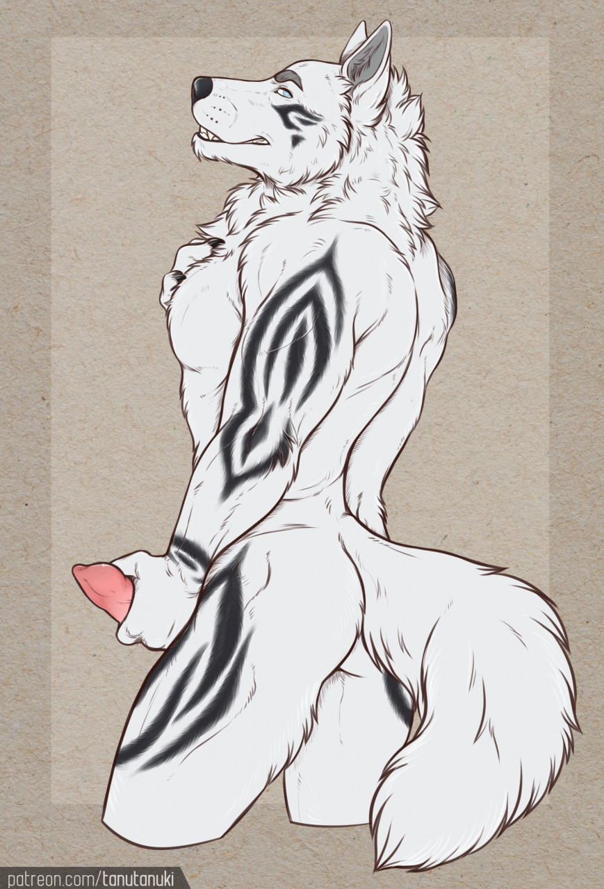 2022 anthro black_nose canid canine canis digital_media_(artwork) fingers genitals hi_res male male_only mammal nude penis smile solo standing tanutanuki teeth wolf