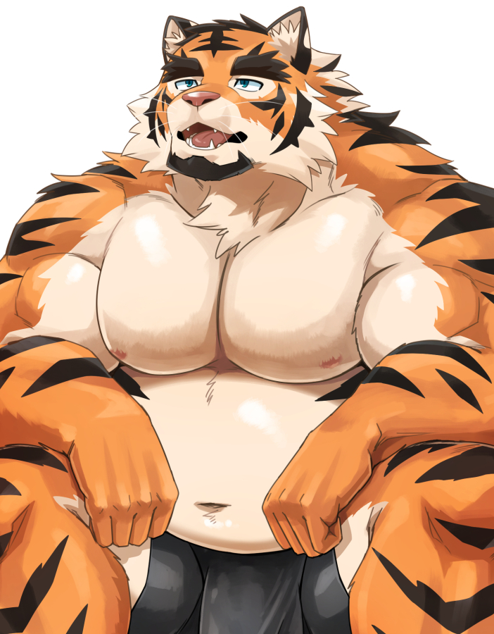 2022 anthro belly bulge felid genital_outline humanoid_hands kemono kumao male mammal musclegut nipples orange_body pantherine penis_outline sitting solo tiger