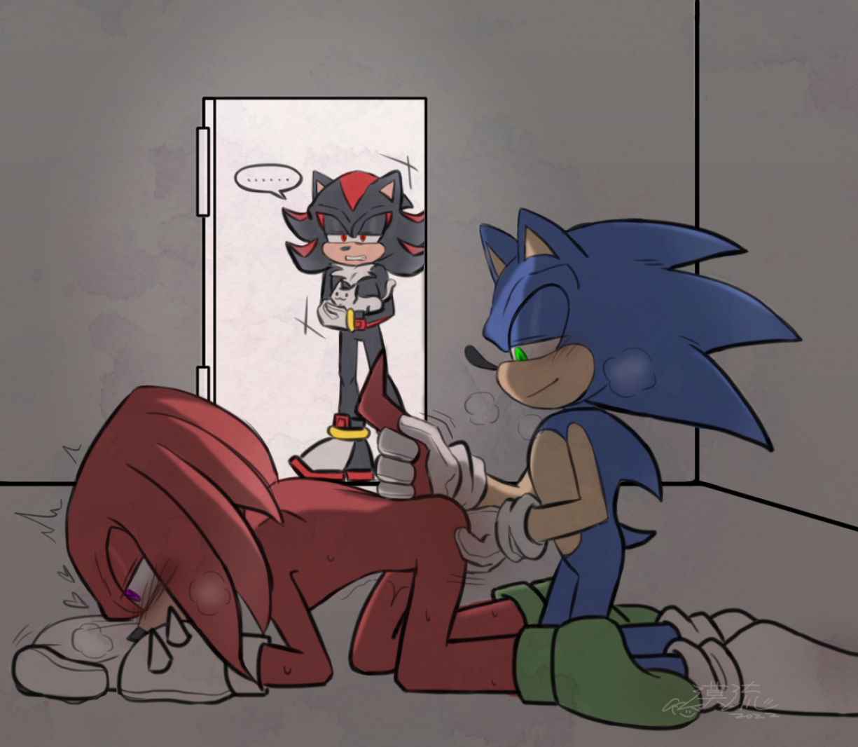 anal fingering, anthro, cat, echidna, fingering, furry, gay, hedgehog, holding animal, knuckles the echidna, male, male only, shadow the hedgehog, sonic (series), sonic the hedgehog, tail grab, yaoi