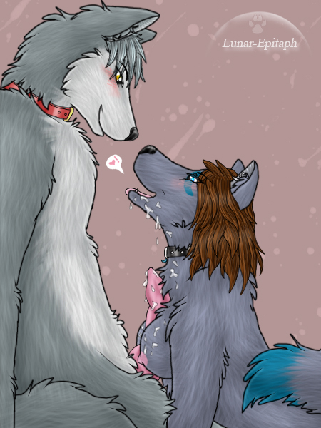 anthro blue blue_eyes blush breasts brown_hair canine collar couple cum cum_on_breasts female fur furry grey hair heart knot lunar_epitaph male messy nipples nude paizuri penis sex side_view spiked_collar straight tail wolf yellow_eyes