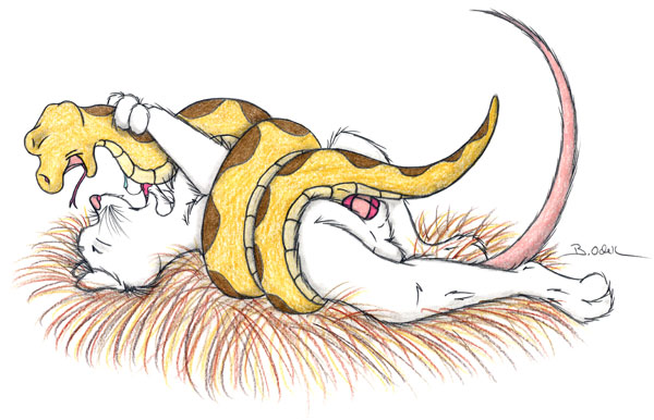 2010 anthro_bestiality balls closed_eyes female feral male mouse nude on_back penetration penis rodent sex sherwood snake straight vaginal_penetration