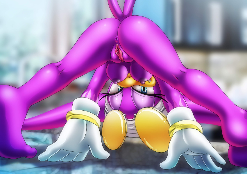 5 fingers, anthro, anus, ass, ass up, avian, bbmbbf, beak, bird, breasts, feet, female, gloves, headwear, jack-o pose, mobius unleashed, mostly clothed, nude, palcomix, purple body, purple fur, pussy, solo, sonic (series), sonic the hedgehog (series), spread legs, spread pussy, spreading, swallow (bird), teenager, upside-down, wave the swallow