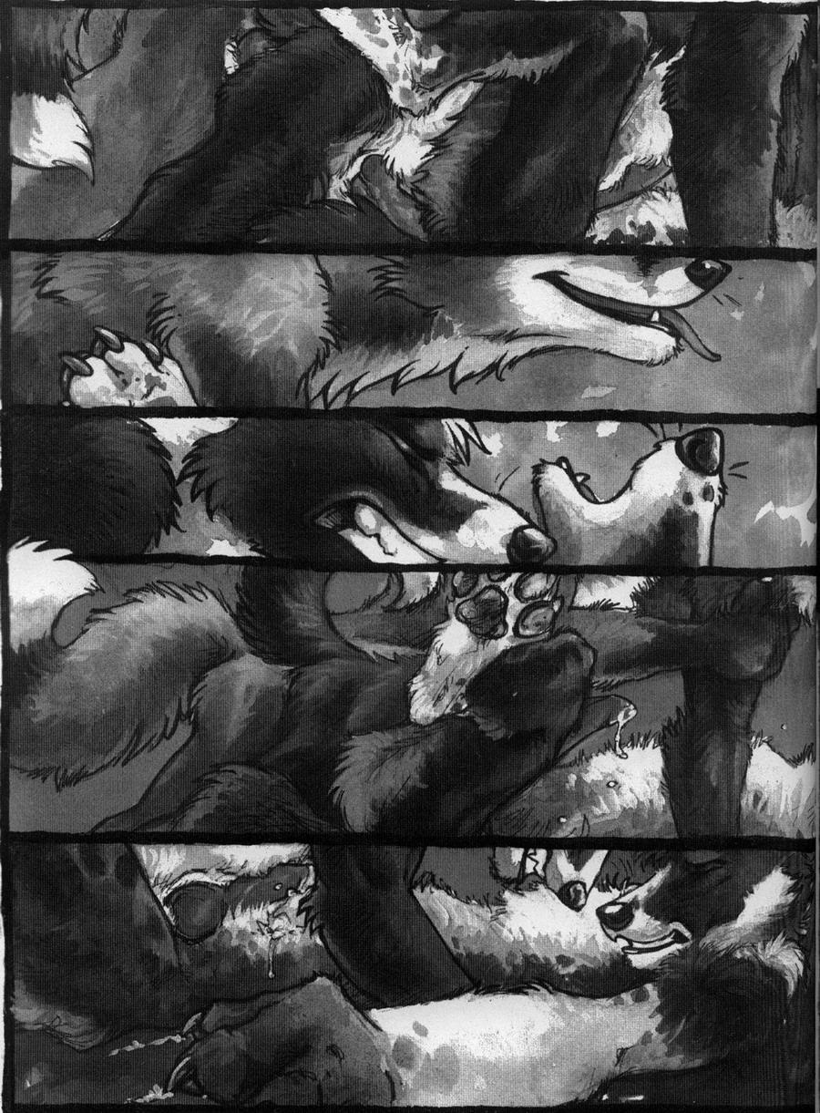 balls black_and_white blotch border_collie canine canine_penis closed_eyes comic cum doggy_style fox knot male male_only missionary_position monochrome nude open_mouth pant penis sex tongue