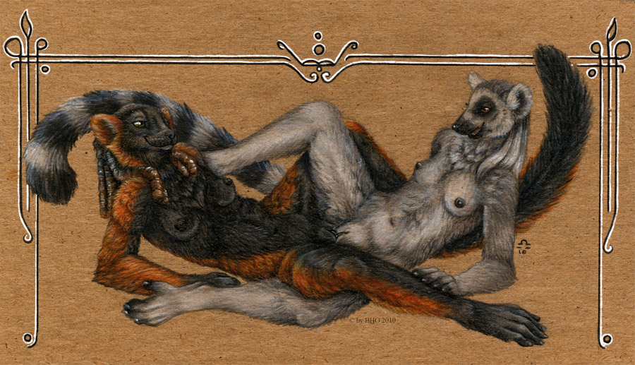 2010 bloodhound_omega breasts couple female frottage furry lemur nude on_back plain_background prosimian pussy red_lemur ringtailed_lemur ruffed_lemur sex spread_legs spreading tribadism yuri