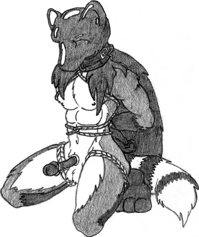 anthro asphyxiation bondage bound breath_play ebonyrubberwolf genitals helpless hood hooded latex male male_only malesub mammal penis procyonid raccoon rubber solo