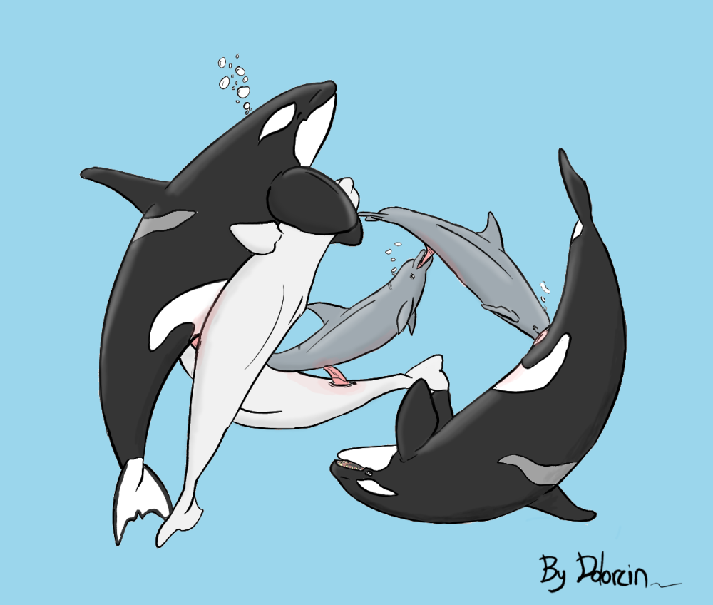 animal beluga cetacean dolorcin dolphin female feral feral_unbirthing_feral male marine oral orca orgy straight unbirthing vore