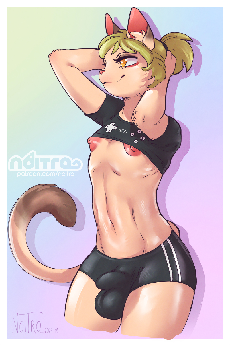 2022 anisette_(noitro) anthro bottomwear bulge clothed clothing crop_top domestic_cat felid feline felis femboy girly hi_res male mammal nipples noitro pink_nipples raised_arms shirt shorts smile solo topwear yellow_eyes