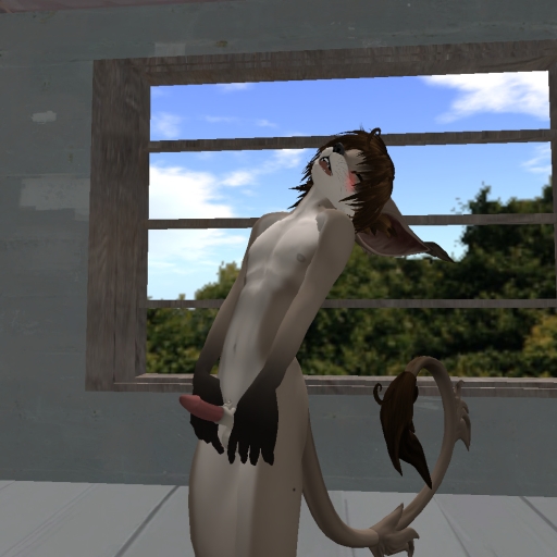 1boy balls blinds blush chupacabra closed_eyes erection eric_dielli girly male male_only nude open_mouth penis pinup room second_life sky solo tail tree