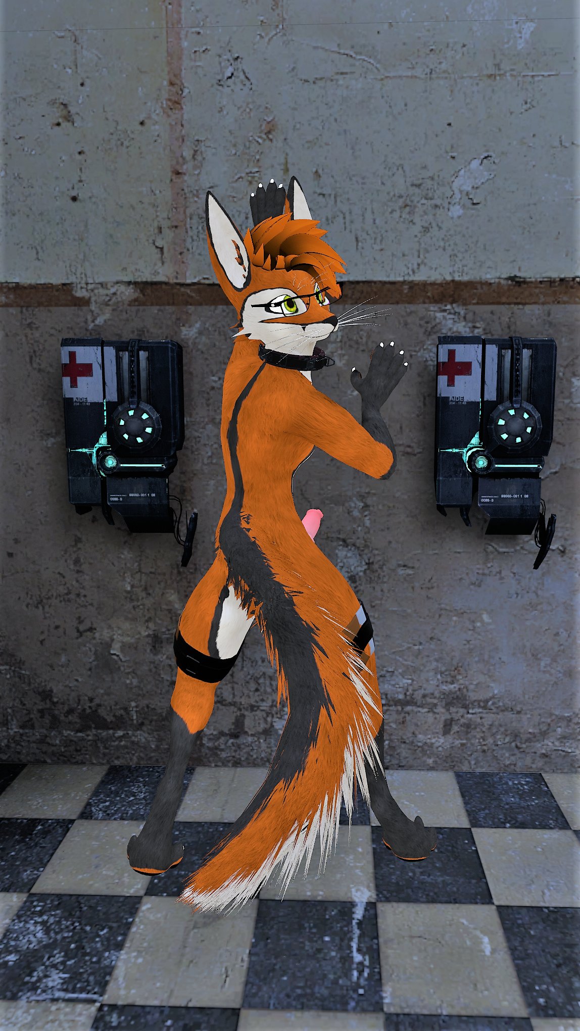 1boy against_wall animal_genitalia animal_genitals animal_penis black_collar black_markings black_paws bottomless canine_genitalia canine_genitals canine_penis collar furry furry_only glasses green_eyes half-life looking_to_the_side male motofox_(big_red_folf) nude orange_fur orange_hair pink_penis rexouium socks_(marking) solo tail vr_media white_claws white_fur white_inner_ear